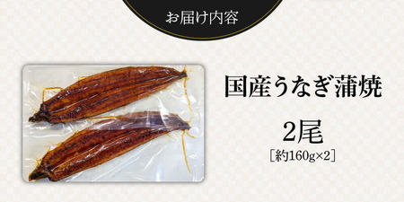 国産うなぎの蒲焼き 2尾 _T08006