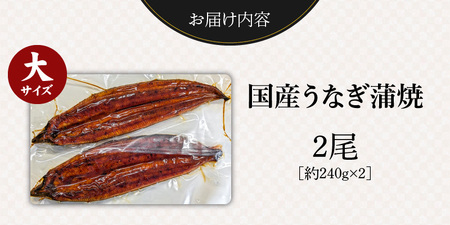 国産うなぎの蒲焼き 大サイズ×2尾 _T08106