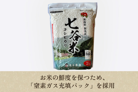 【令和7年産】老舗米穀店が厳選 新潟県加茂市産コシヒカリ「七谷米」精米2kg〈順次出荷〉 従来品種 金子米店