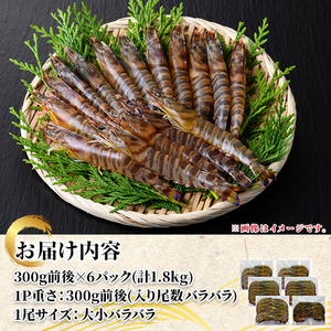 n281 訳あり 車海老 規格外 バラ セット 計1.8kg・300g前後 × 6P 【車海老日本株式会社】