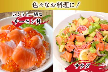 訳あり トロサーモン 切り落とし 1kg (125g×8p)  個包装 [足利本店 宮城県 気仙沼市 20565737] 魚介類 魚 サーモン 海鮮 鮭 トロ お刺し身 刺し身 刺身 アトランティックサーモン 冷凍 訳アリ