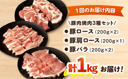 【3回定期便】ナルちゃんファーム豚肉焼肉セット 毎月1kg / 豚肉 豚ロース モモ バラ 焼肉 / おおむら夢ファームシュシュ [ACAA339]