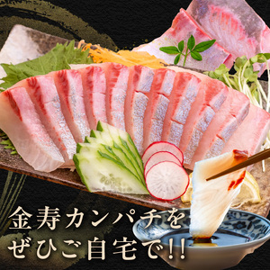 熟成金寿カンパチ刺身用ブロック600ｇ(急速凍結) N015-YA856