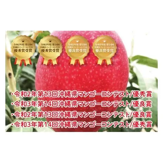 菜々色畑の赤秀アーウィンマンゴー 3～4玉(約1.5kg)【化粧箱】
