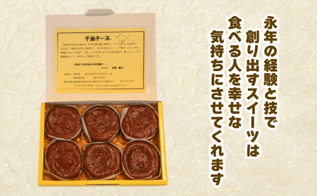 アルザス 選べる 千鳥ショコラ 6個 冷凍 ガトーショコラ チョコケーキ 愛知県 南知多町