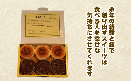 アルザス 選べる ミックス 6個（チーズ3個 ショコラ3個） 冷凍 チーズケーキ ガトーショコラ 愛知県 南知多町