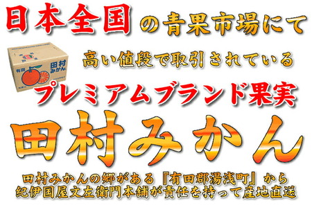 V7448_【2026年先行予約】田村みかん／5kg青秀【Mサイズ】