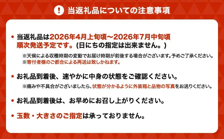  訳あり 不知火 恋する不知火 約2kg 【2026年4月上旬から2026年7月中旬発送予定】 御舩果樹園 