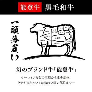 【和牛セレブ】能登牛 一頭買い（12分割配送） 牛肉 最高級 一頭買い 黒毛和牛 能登牛 和牛セレブ F6P-2157