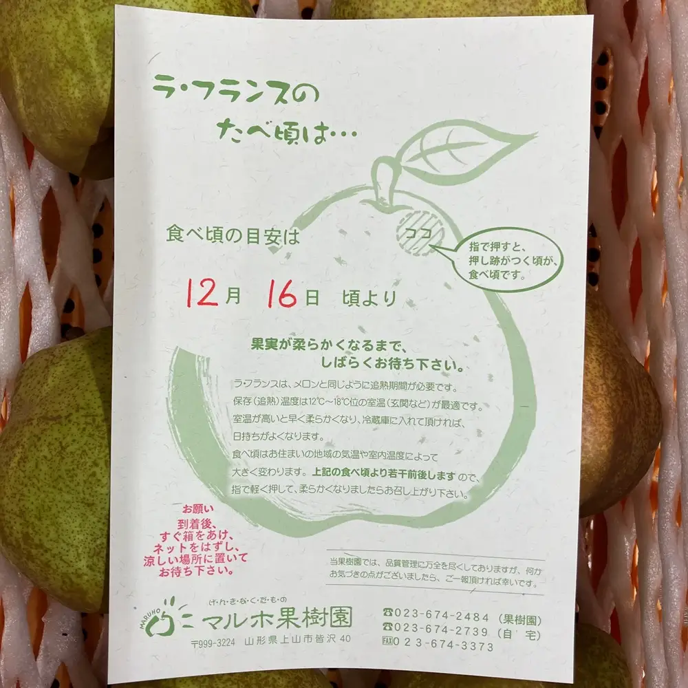 【超大玉８Ｌサイズ！！】ラ・フランス　４玉　ご家庭用　0078-2608