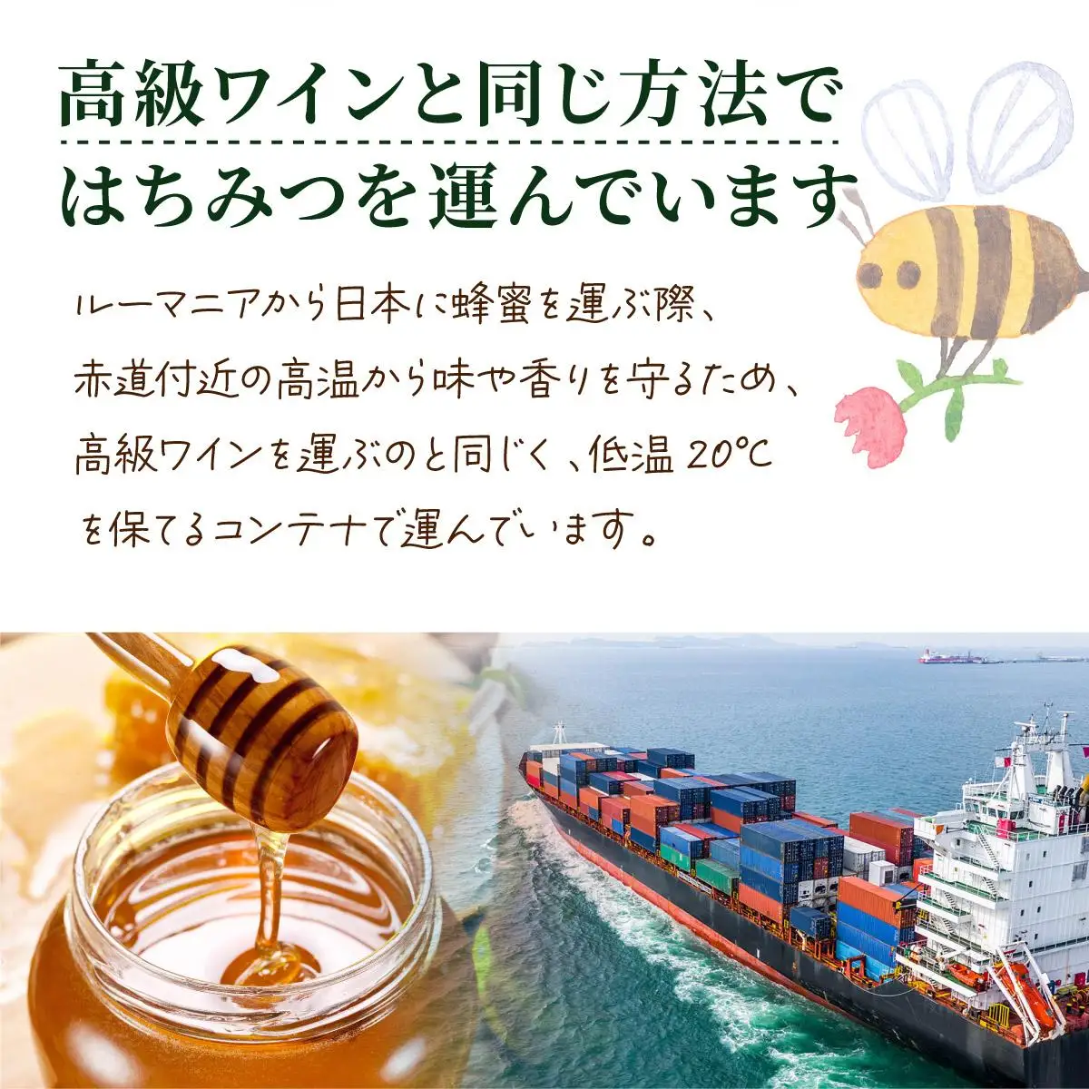 山田養蜂場ルーマニア産アカシア蜂蜜200g（ビン入り）×3個（64301）【006-a069】