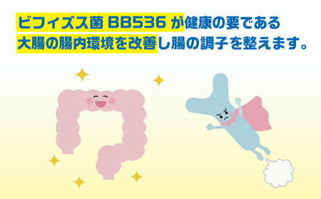 森永カルダスヨーグルトドリンクタイプ1ケース（12本）