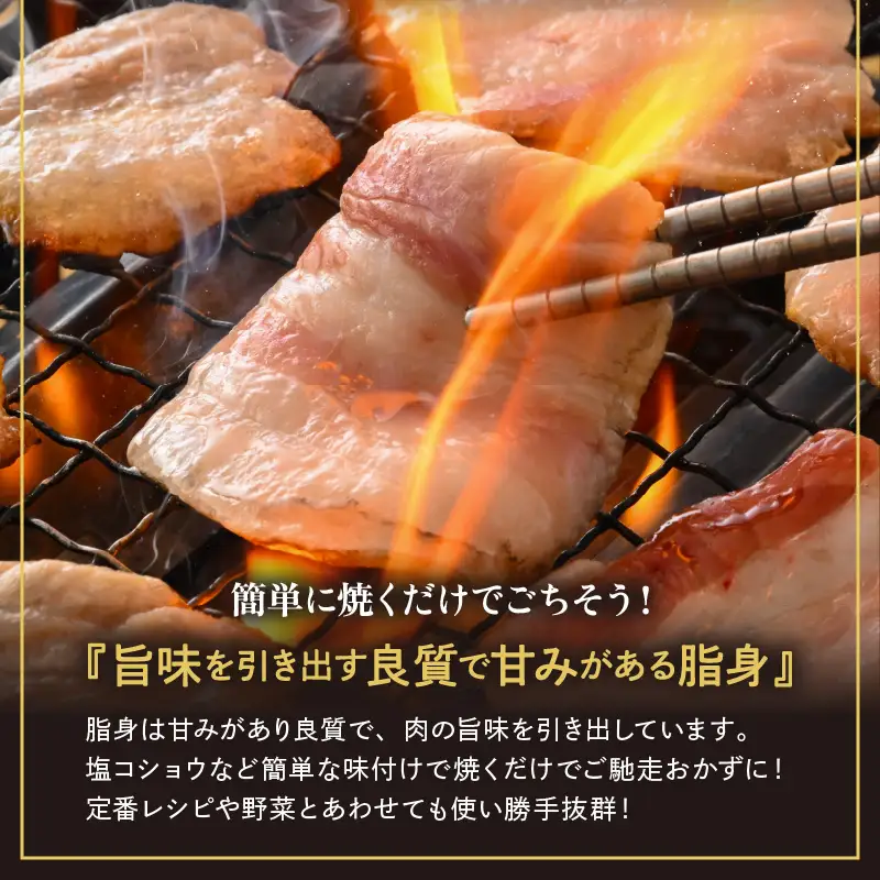 【ブランド肉】牛 豚 食べ比べ 「若狭牛 」「ふくいポーク 」焼肉用 計 1.１kg 国産肉 冷凍 [e02-c013]