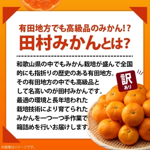 AB7300_ 【2026年先行予約】ご家庭用 田村みかん サイズ混合(2S～２L) 約10kg わけあり 訳あり 不揃い 和歌山プレミアムブランドみかん 小玉 中玉 大玉 蜜柑 ミカン フルーツ 果物