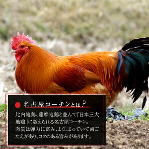 名古屋コーチン親子丼の素4食セット 日本三大地鶏 小牧市発祥 [004O07]