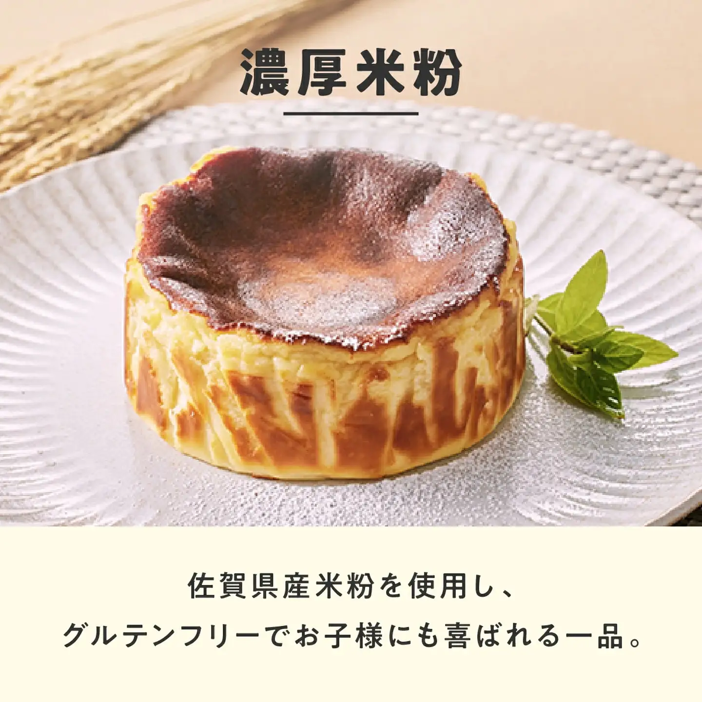 【定期便6回】バスクチーズケーキ6種食べ比べ：B525-004