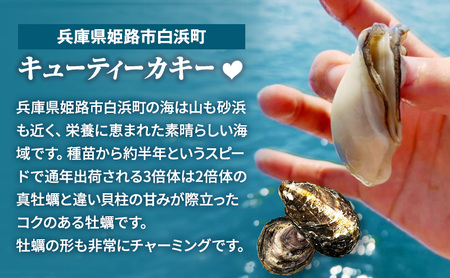 牡蠣 全国牡蠣−1GP受賞 3倍体カキ キューティーカキー 20個 生食用 生食 殻付き 殻付き牡蠣 貝 兵庫 兵庫県 姫路市