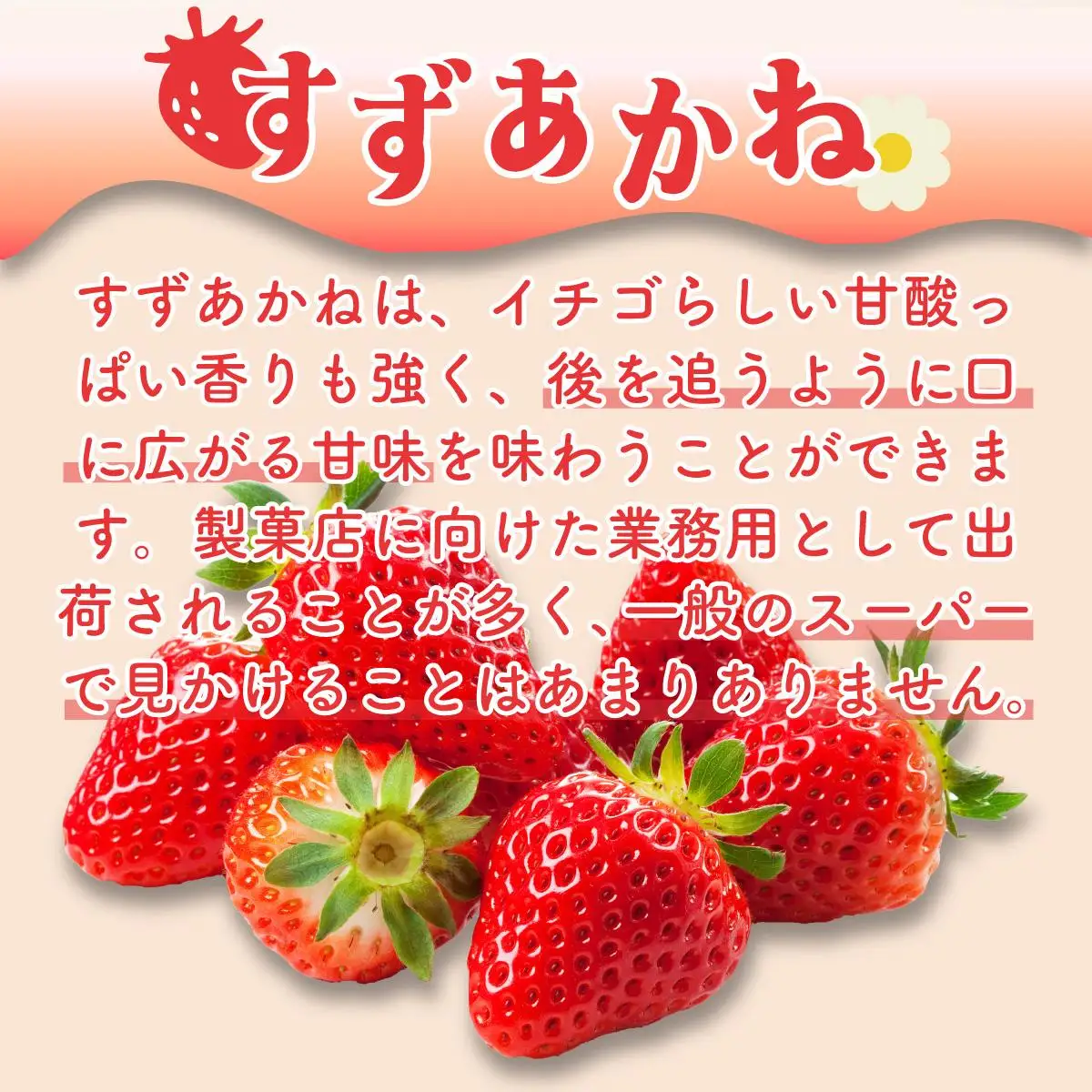 [5525-1074]北海道産 ストロベリー ミルク プリン 10個 森のおくりもの プリン いちご イチゴ 苺 ストロベリー 牧家 Bocca だて牛乳 ミルク 牛乳 すずあかね お菓子 おやつ スイーツ デザート いちごみるく 規格外 常温 送料無料