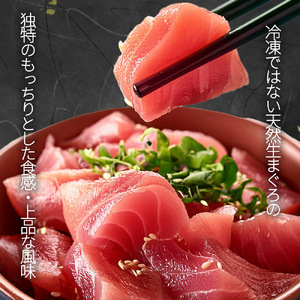 那智勝浦直送！天然生まぐろ 柵 約500g 【入金確認後、3週間以内に発送いたします】【UT101】【Z91156-uot806】