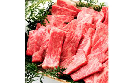 土佐和牛 焼肉用 500g（500g×1パック）