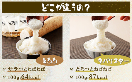 【2ヶ月定期便】ネバリスター冷凍とろろパック(50g×30個) 【長芋 山芋 イチョウ芋 大和芋 とろろ 粘り 冷凍 小分け パック 個包装 簡単 便利 プレーン 贈り物 贈答 ギフト 青森県 東北】【02402-0340】