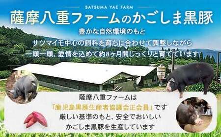 JS-308 かごしま黒豚ロース肉しゃぶしゃぶ用 500g×12回定期便