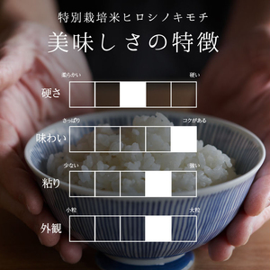 【6回定期】特別栽培米 コシヒカリ ヒロシノキモチ 無洗米 5kg 総計30kg 陽咲玲 米 お米 コメ 無洗米 ご飯 ごはん 富山県産 富山県 立山町 F6T-931
