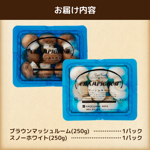 マッシュルーム 産地直送 長谷川農産 小×2パック セット 新鮮 2種 ホワイト ブラウン 最新栽培技術 無農薬 無漂白 生でも食べられる ビタミン たんぱく質 きのこ キノコ 静岡県 富士市 野菜 [sf002-351]