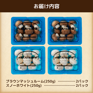 マッシュルーム 産地直送 長谷川農産 小×4パック セット 新鮮 2種 ホワイト ブラウン 最新栽培技術 無農薬 無漂白 生でも食べられる ビタミン たんぱく質 きのこ キノコ 静岡県 富士市 野菜 [sf002-352]