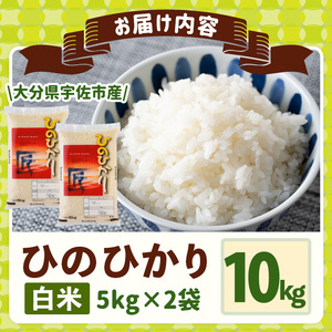 ＜令和7年産＞ひのひかり 白米 (計10kg・5kg×2P) お米 ごはん ご飯【107101103】【あいはな農園】