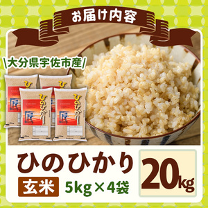 ＜令和7年産＞ひのひかり 玄米 (計20kg・5kg×4P) お米 ごはん ご飯【107101503】【あいはな農園】