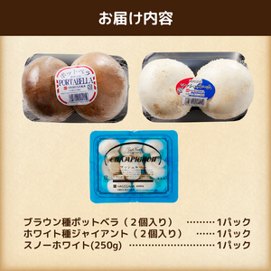 マッシュルーム 産地直送 長谷川農産 3種 セット 新鮮 ホワイト ブラウン ジャイアント ポットベラ 無農薬 無漂白 生でも食べられる ビタミン たんぱく質 希少 濃厚 きのこ キノコ 静岡県 富士市 野菜 [sf002-353]