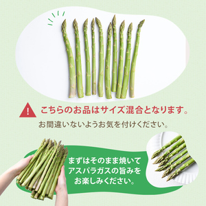 ＜季節限定＞有機JASアスパラガス(約1kg・サイズ混合おまかせ) 【先行予約受付中・2026年4月中旬から順次発送】期間限定 アスパラ グリーンアスパラ 旬 野菜 【イナゾーファーム】【B7099】