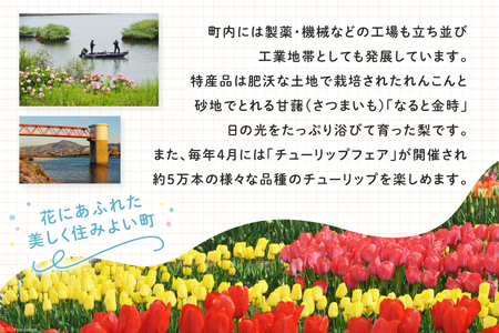 【返礼品なし】徳島県北島町への応援寄附 1口 10,000円 [北島町役場 徳島県 北島町 29ba0002]