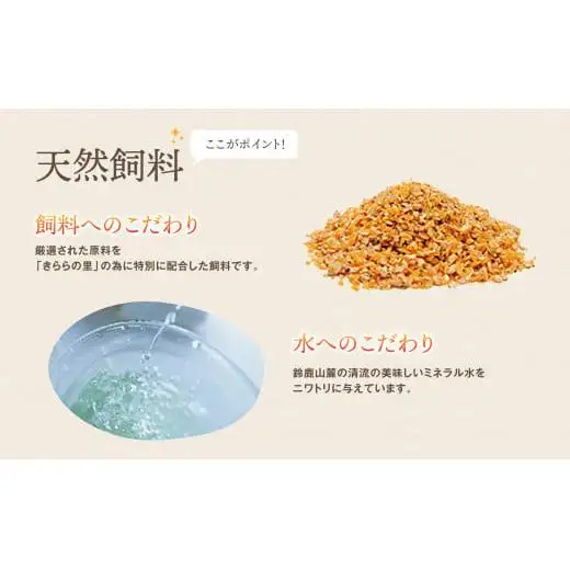 厳選された飼料と鈴鹿山麓の銘水で育った、美味しい卵「きららの里」を新鮮な状態でお届けします。50個（45個＋卵割れ保障5個）【たまご 卵 きららのさと きららの里 50個 おいしい 濃厚 玉子 玉子焼き 卵焼き たまごかけご飯 ゆでたまご 生卵 鶏卵 四日市 日用品 国産 純国産 鶏 ミネラル 赤玉】