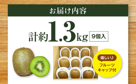 キウイフルーツ 約1.3kg（×9個） [AGDC002]