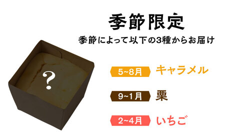 【種類豊富な詰め合わせスイーツ】チーズケーキ 6種 9個セット / ベイクドチーズケーキ スイーツ ちーずけーき おしゃれ お菓子 贈り物 おやつ ギフト お取り寄せ 人気 誕生日 個包装 / 南島原市 / Hand Made Cake WISSH [SCF002]
