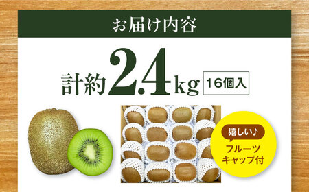 キウイフルーツ 約2.4kg（16個）[AGDC003]