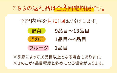 【3回定期便】野菜定期便15品目以上 吉岡青果[SCZ023] 野菜定期便