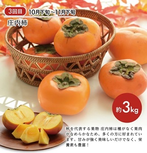 SE0491　【3回定期便】庄内の口福フルーツマルッとお届け便2026 (アンデスメロン、刈屋梨、庄内柿)