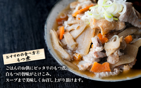 豚 ホルモン 白もつ 約 2.8kg ( 約 460g × 6袋 ) ボイル済