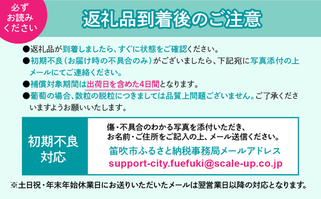 【2026年発送★先行予約】笛吹市産白桃　1箱2kg程度 229-006-26y