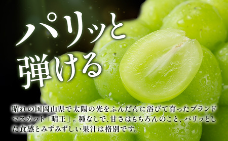 【2026年発送】プレミアム シャインマスカット 船穂 赤秀品 晴王 650g 晴レ乃青果　(岡山中央卸売市場店(富士紙工 有限会社))  