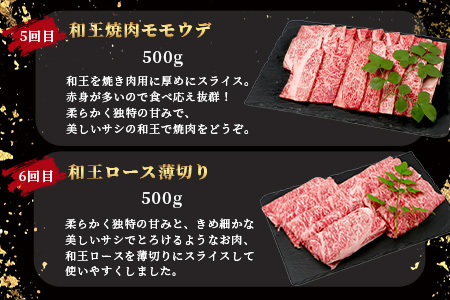 【定期便6回】くまもと黒毛和牛【 和王 堪能 定期便 】6回配送 ブランド牛 プレミアム 定期便 サーロイン ヒレ ステーキ 最上級 黒毛 和牛 牛肉 国産 A4 A5 熊本県 冷凍 》113-0604