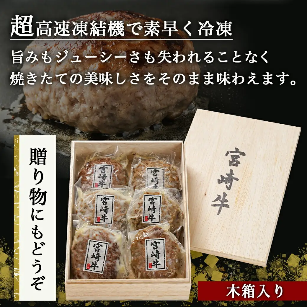 加熱済み☆宮崎牛ハンバーグ6個〔14-8405〕_(都城市)都城産 宮崎牛 ハンバーグ 湯せん 贈り物 ギフト