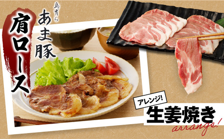 あま豚 焼肉 セット A146-007 豚肉 豚 肉 ぶた肉 ポーク バラ ロース 肩ロース 豚バラ 豚ロース 豚肩ロース スライス 美味しい 焼肉セット バーベキュー BBQ 生姜焼き ミルフィーユカツ きめ細かい 肉質 昼食 夕食 ごはん おかず AMAMIMAMA ふるさと納税 奄美市 おすすめ ランキング プレゼント ギフト
