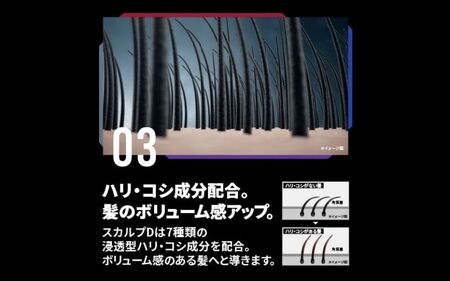 シャンプー スカルプD シャンプー+パックコンディショナー+育毛トニック ドライセット【K014-angf012】