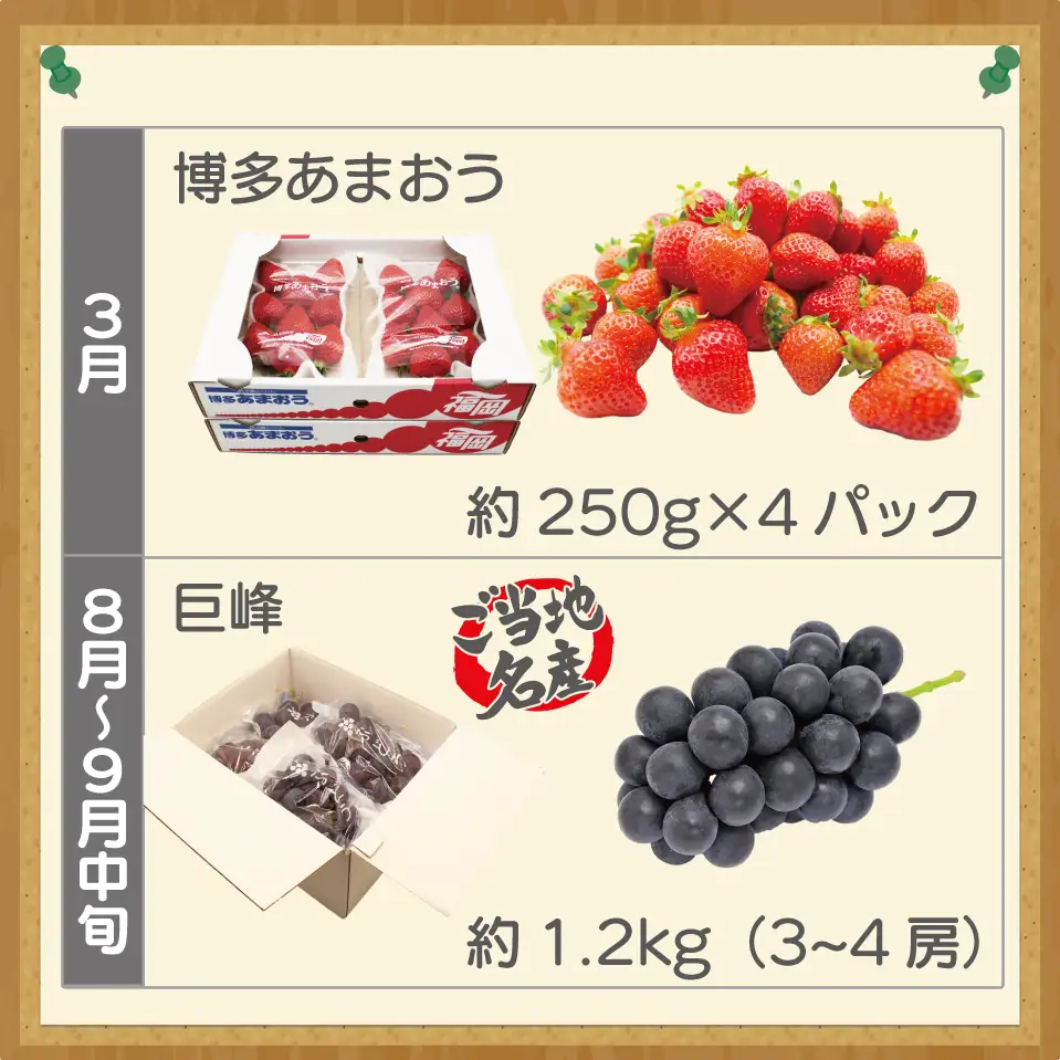 【定期便】宮若市旬のフルーツ定期便【全４回】 ブランド いちご ぶどう みかん 柿 大人気 NO1 限定品 高級 フルーツ 果物 くだもの 特別 冷蔵 プレゼント 九州 福岡 宮若市 ふるさと納税 おすすめ 送料無料 M763