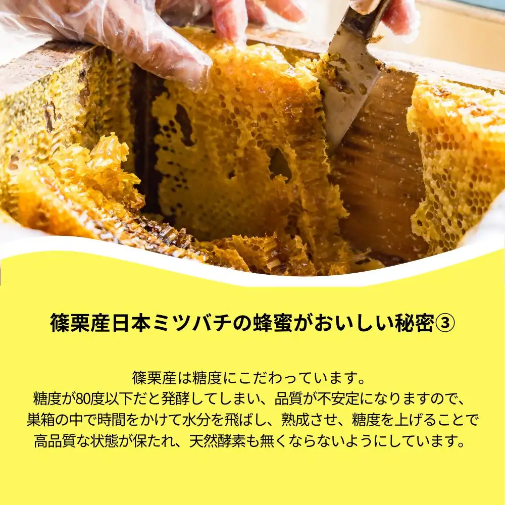 日本蜜蜂「ささぐり里山のはちみつ」（百花蜜）1000g AA002 