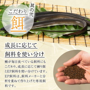 うなぎ 無投薬 鹿児島県産  (1尾あたり136g～155g×5尾) うなぎ 【西日本養鰻】B175